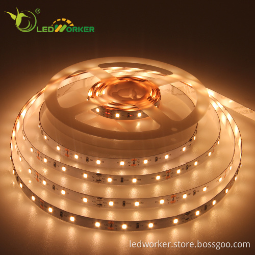 12V 24V SMD 2835 LED Strip Light Search